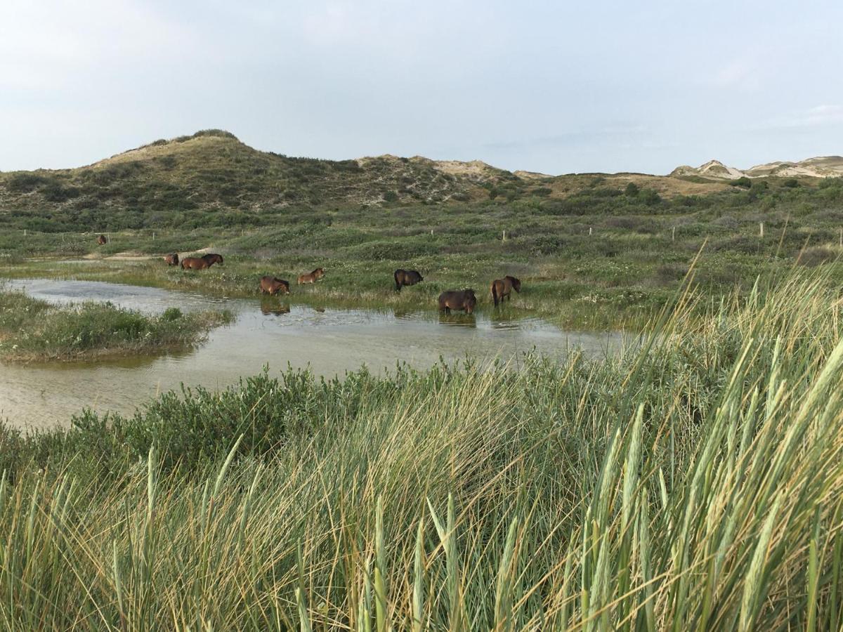 De Duinlopers - Studio Appt Bries - Strand, Duinen En Nabij Cultuur Steden Castricum Εξωτερικό φωτογραφία