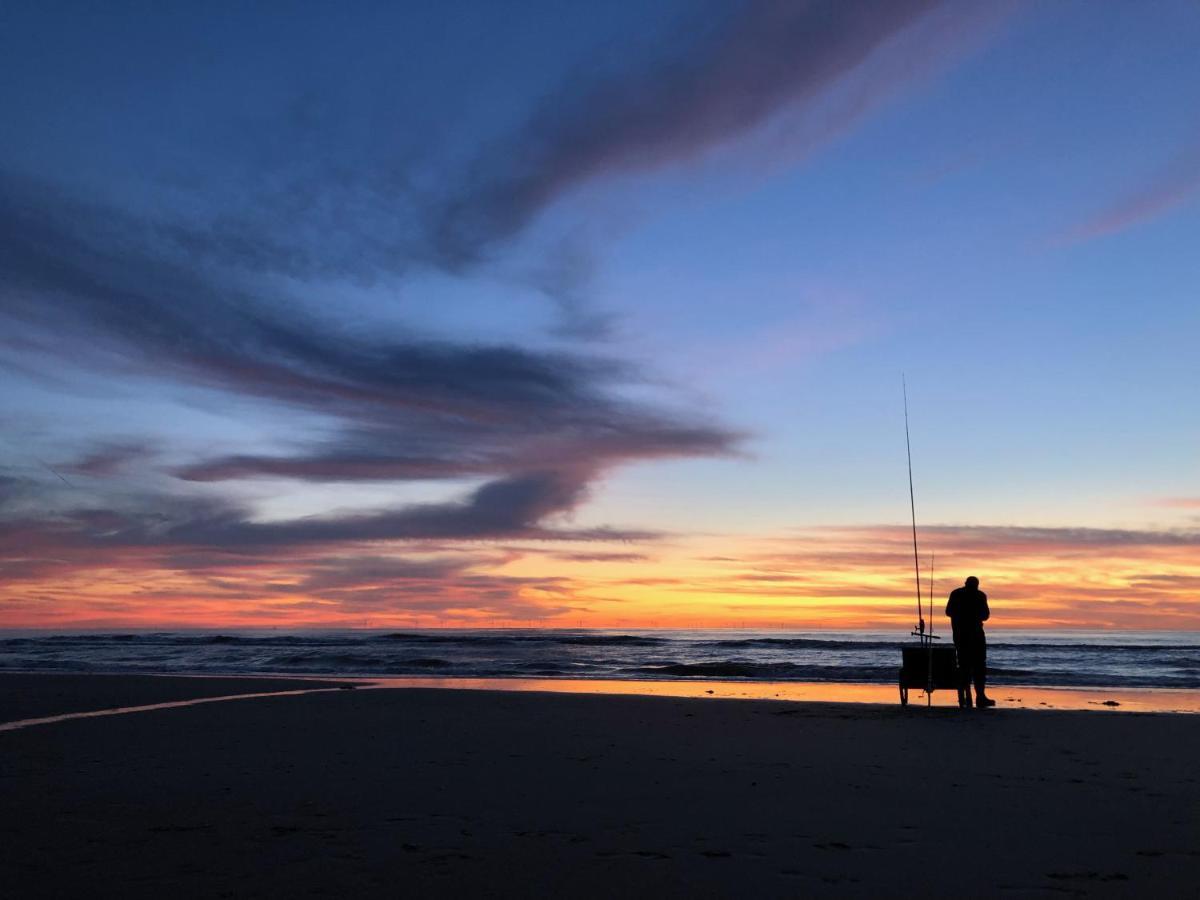 De Duinlopers - Studio Appt Bries - Strand, Duinen En Nabij Cultuur Steden Castricum Εξωτερικό φωτογραφία