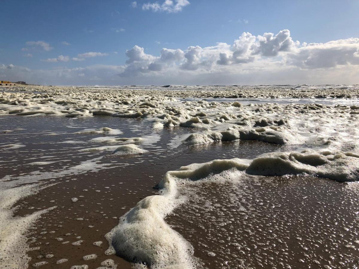 De Duinlopers - Studio Appt Bries - Strand, Duinen En Nabij Cultuur Steden Castricum Εξωτερικό φωτογραφία